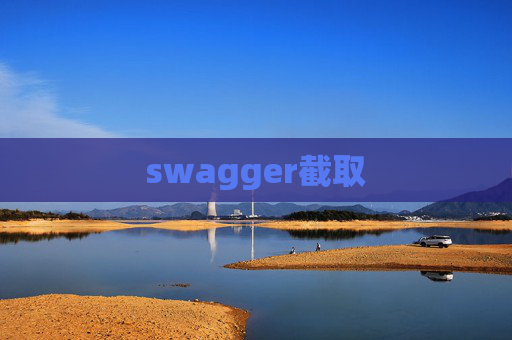 swagger截取